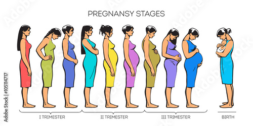 Women Pregnancy Stages