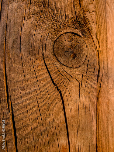 Nodo di Legno