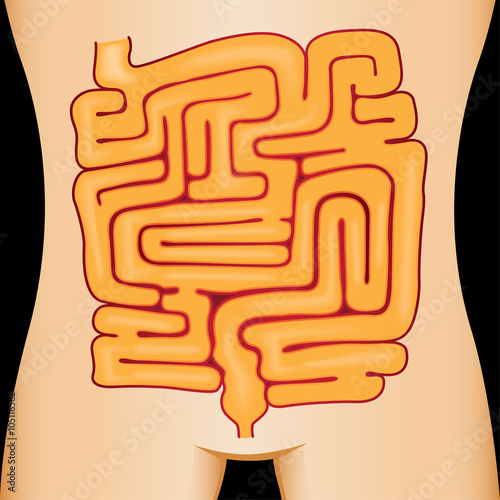 Illustration of the human body stomach maze