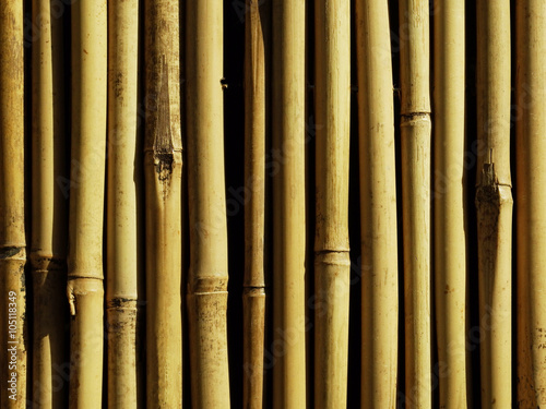 fence of bamboo trunks