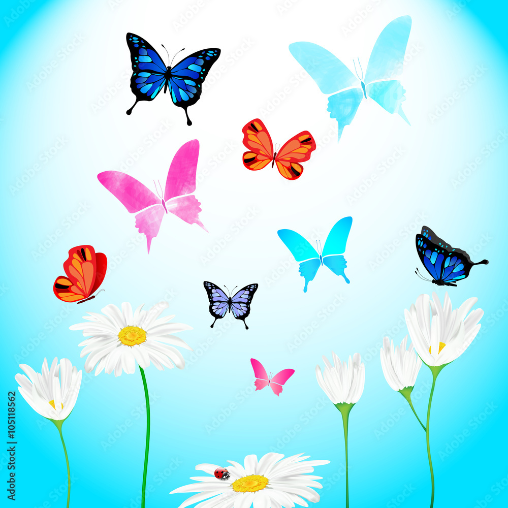 Set of daisies and butterflies