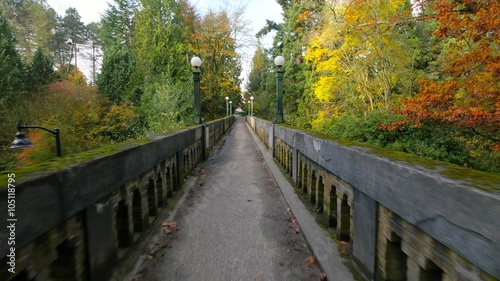 Bridge in the autumn park. Golden trees. Autumn colors. Fallen yellow leaves on the alley in the park. The sun's rays illuminate the golden leaves of the trees. 4K, 3840*2160, high bit rate, UHD