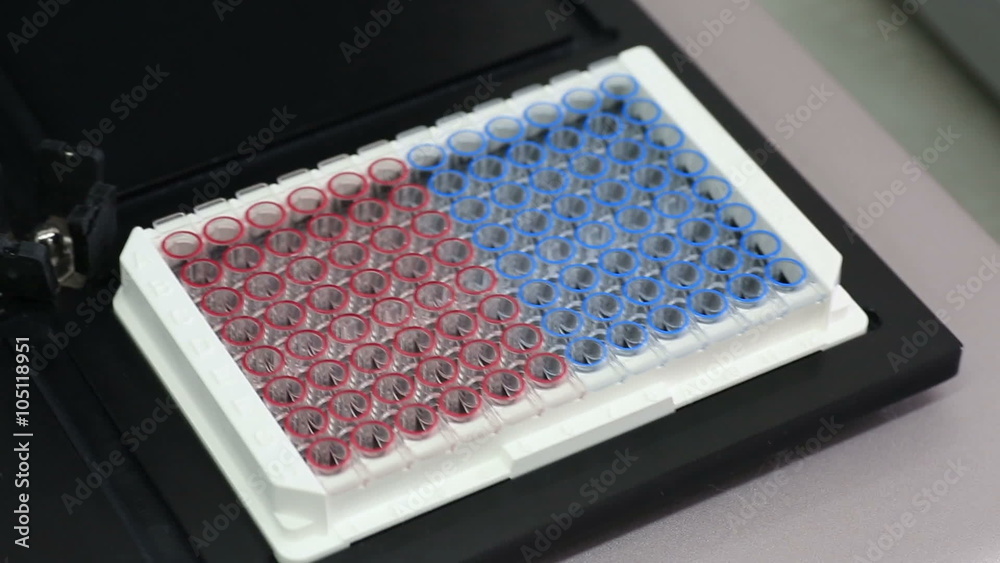Laboratory shaker thermostatted to create rotational fluid motion and maintain the desired temperature in immunological plates. Laboratory shaker thermostatted to create rotational fluid motion and maintain the desired temperature in immunological plates.