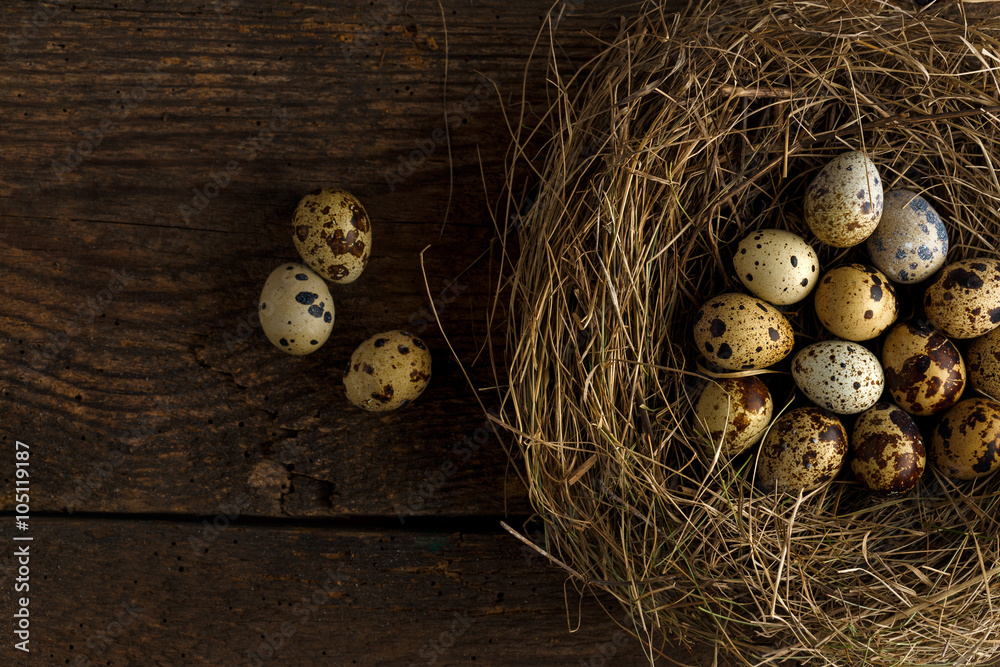 Quail eggs in a nest on a wooden rustic background Quail eggs in a nest on a wooden rustic background