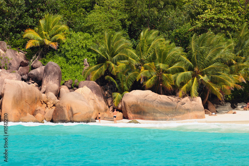 Boulders and palm trees on beach. Anse Lazio  Praslin  Seychelles