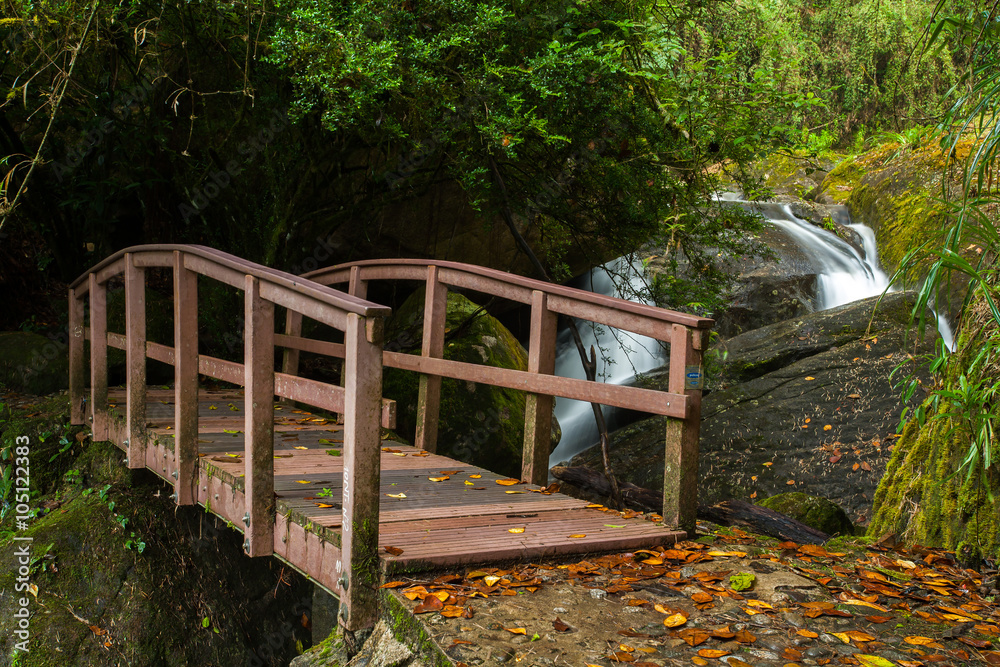 Small wood bridge in rain forest with waterfall in background Small wood bridge in rain forest with waterfall in background