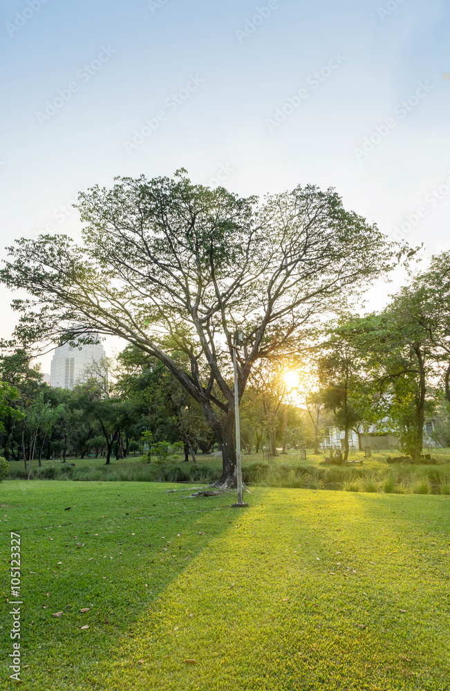 sunset and view in public park