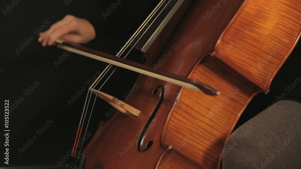 Cellist Playing Cello With a Bow Cellist Playing Cello With a Bow