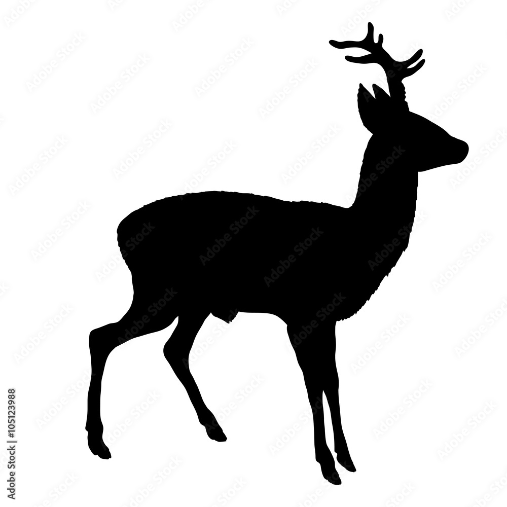 Naklejka premium roe deer silhouette