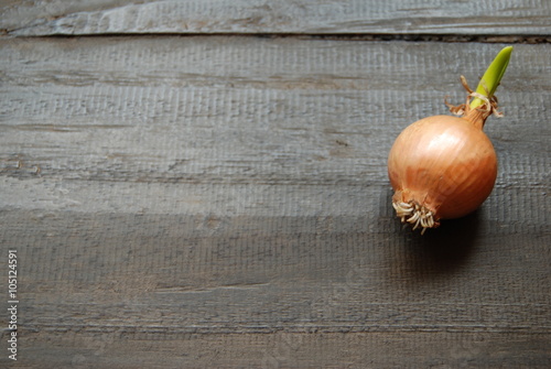 Bulb of Onion on wooden background - close-up