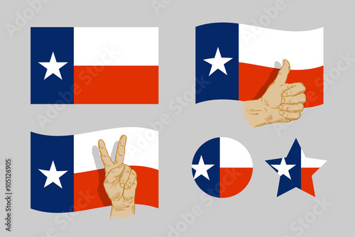 Texas flag icons set. vector illustration photo