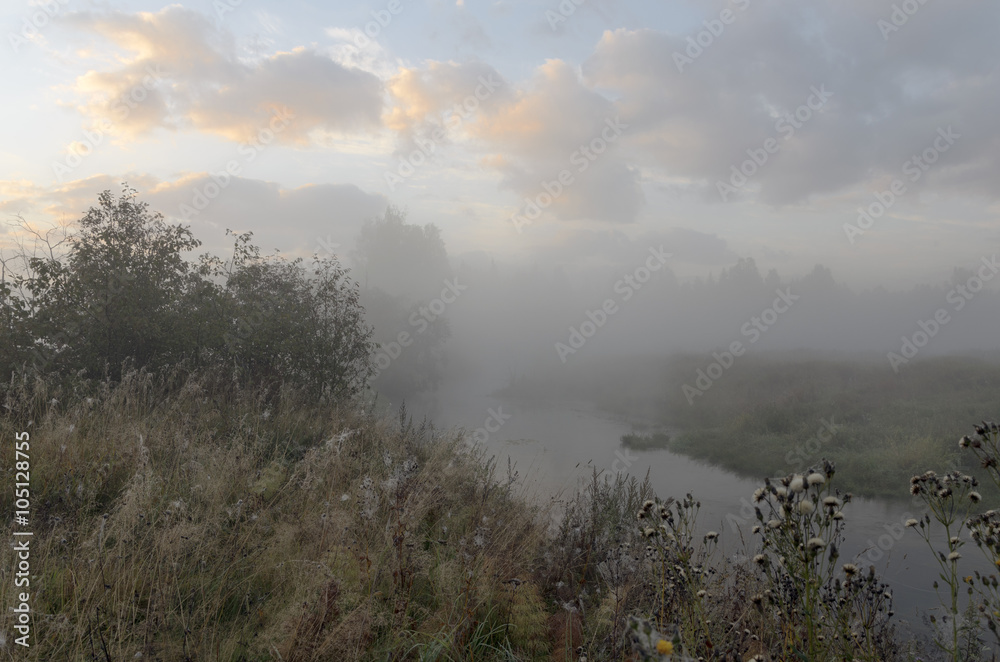 Autumn landscape