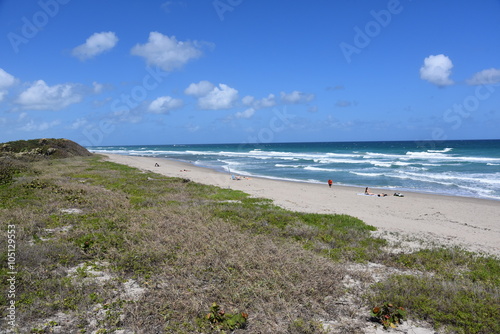 Beautiful pristine beach at John D MacArthur State Park near West Palm Beach, Florida.