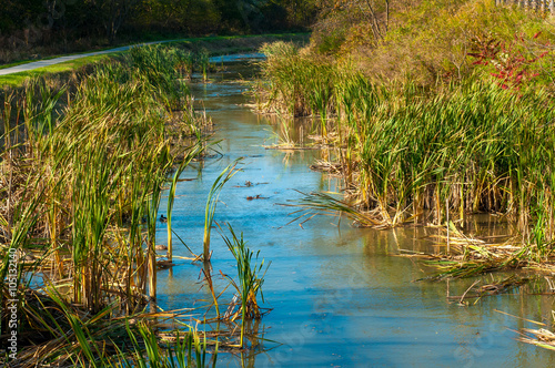 Obraz na plátně Weedy canal