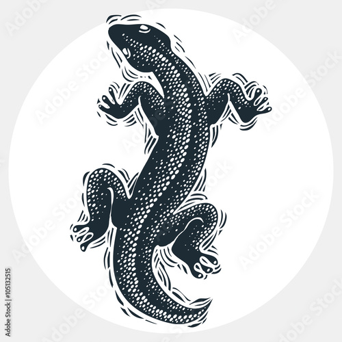 Vector drawn lizard silhouette  nature graphic symbol. Reptile 