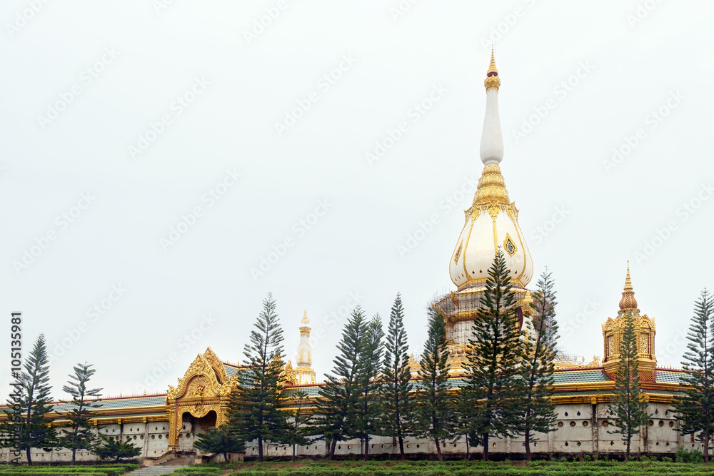 Naklejka premium Pagoda / Pagoda in the temple on white sky background, Wat Yai Chai Mongkol, Roy Ed, Thailand.