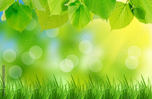 Green leaves and grass on the natural background