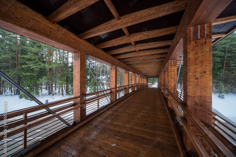 Wooden bridge in the forest park.