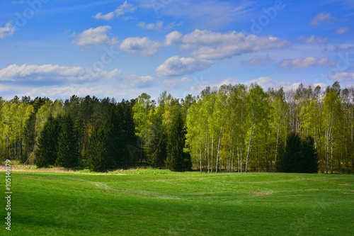 Green spring landscape with trees and meadows