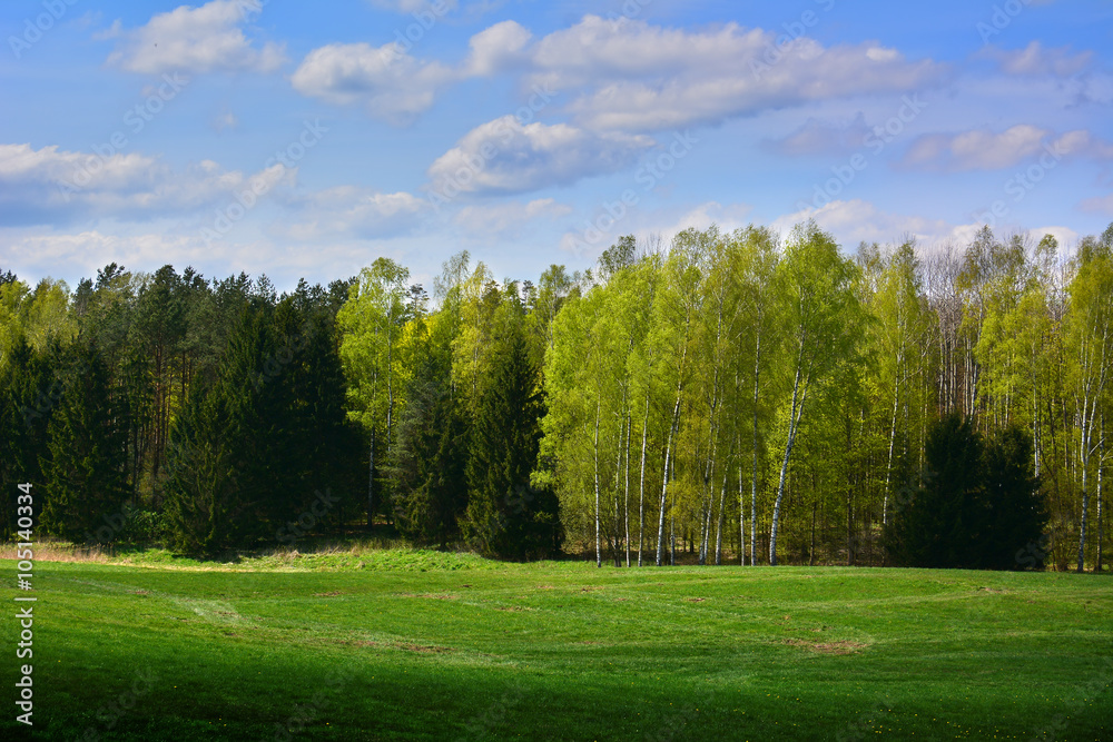 Green spring landscape with trees and meadows