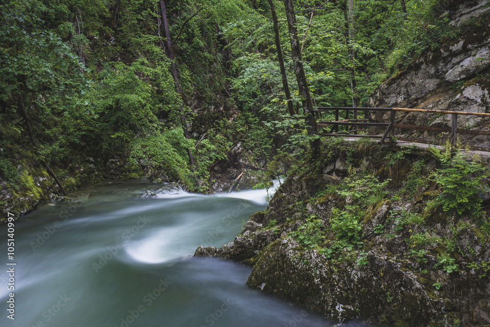 Flowing river in the forest, long exposure Flowing river in the forest, long exposure