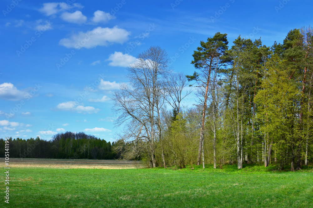 Green spring landscape with trees and meadows Green spring landscape with trees and meadows