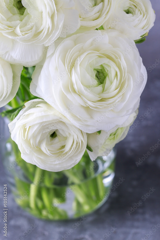 Obraz premium White persian buttercup flowers (ranunculus)