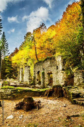 Picture at the ruins inside the forest, from one long time ago forgotten factory. One image with great colors and details witch can be used in many ways.