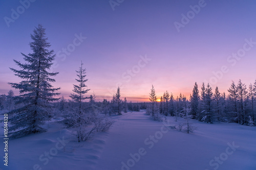 Winter norway landscape