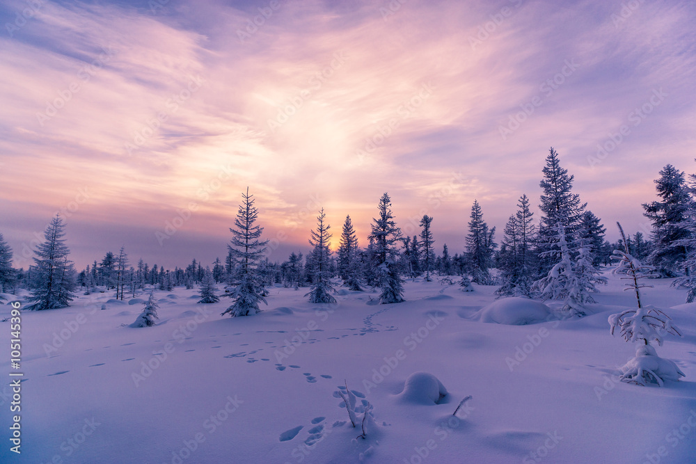 Winter landscape with forest, cloudy sky and sunset Winter landscape with forest, cloudy sky and sunset
