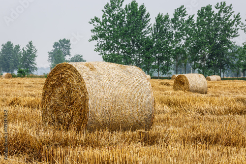 Straw bales Scenery in the country farm