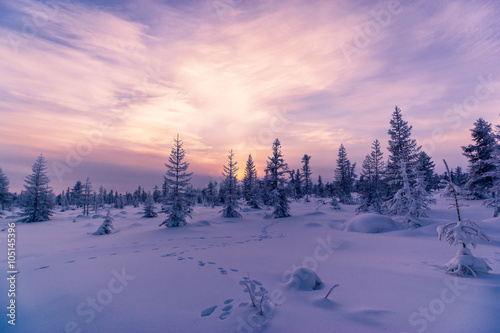 Winter landscape with forest, cloudy sky and sunset 