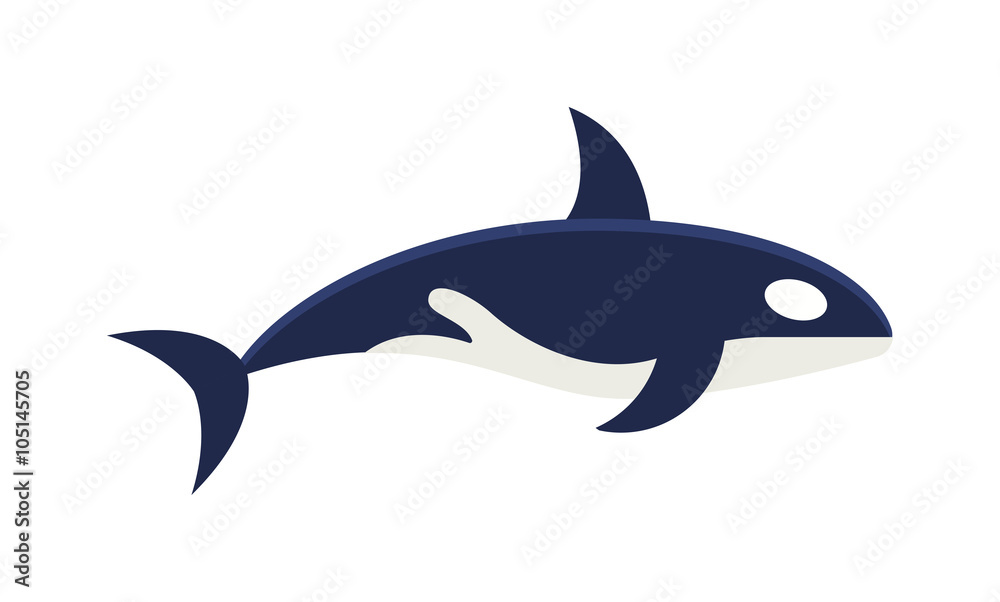 Killer whale Orcinus orca vector isolated on white background