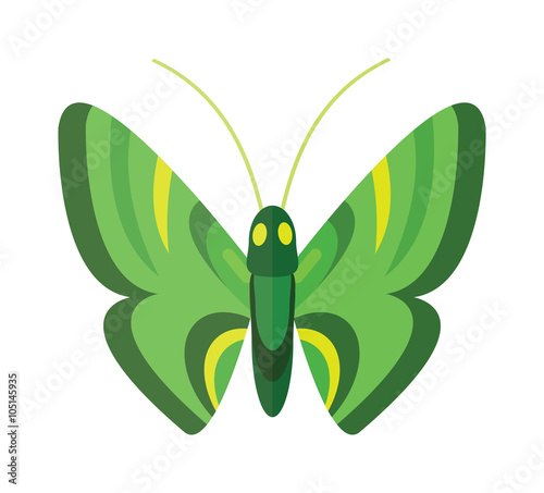 Colored cartoon butterfly vector isolated on white background. 