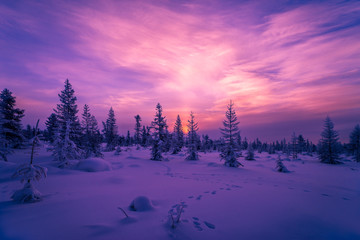Papier peint photo Prune Winter landscape with forest, cloudy sky and sunset   © Olonkho
