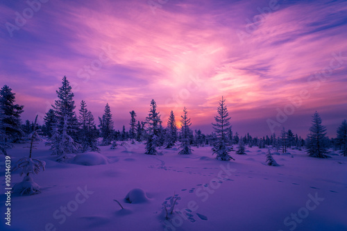 Winter landscape with forest, cloudy sky and sunset  © Olonkho