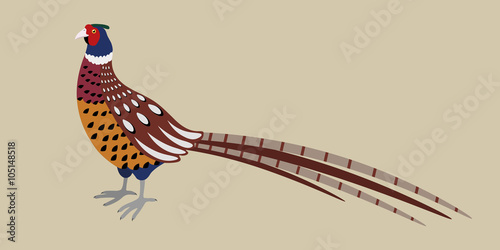 Canvas Print Cartoon detailed pheasant isolated on grey background