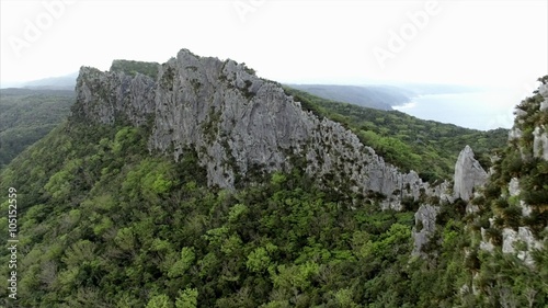 沖縄やんばる　大石林山4K空撮