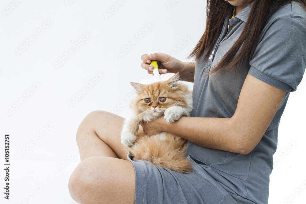 young woman combing for cat hair