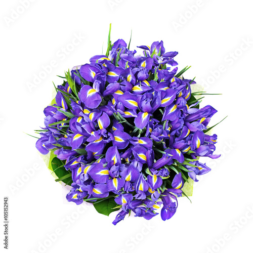 Bunch of irises, bouquet, isolated on the white, top view
