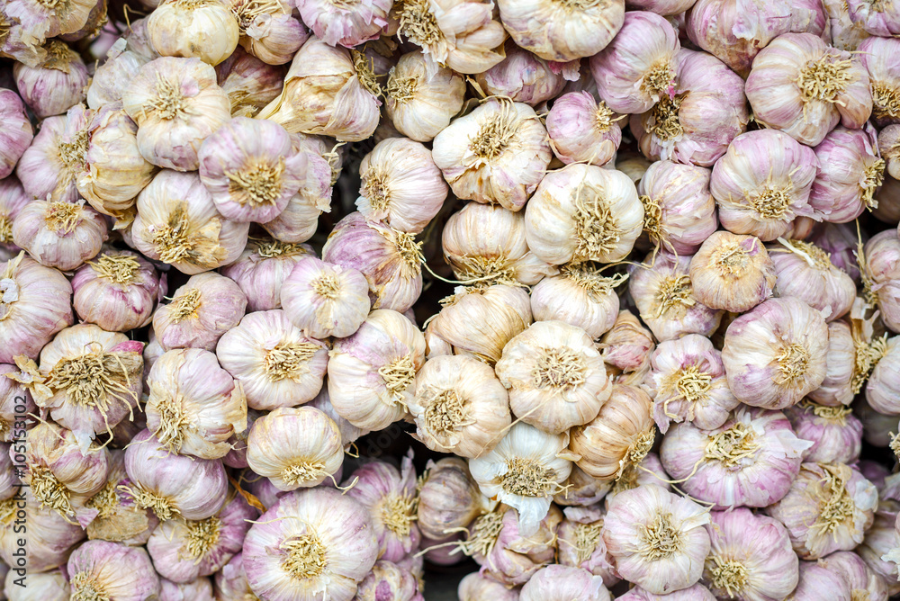 Garlic , Fresh garlic isolated , Garlic group Garlic , Fresh garlic isolated , Garlic group