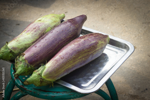 This is a photo of eggplant, was taken in Yunnan, China. photo