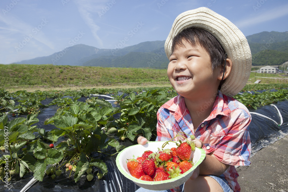 いちご狩りを楽しむ子供