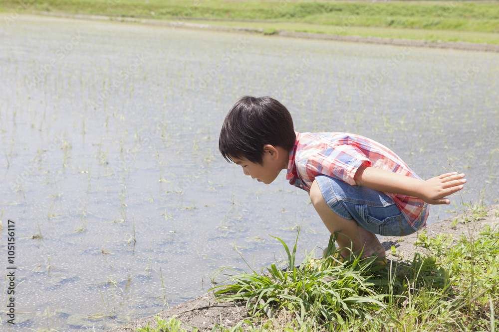 田んぼで遊ぶ子供