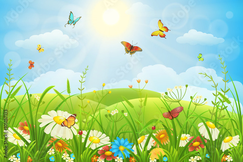Summer or spring lush meadow with colorful flowers and butterflies