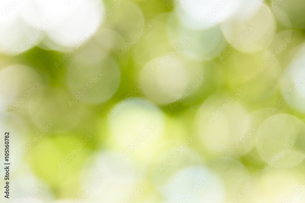 bokeh bokeh