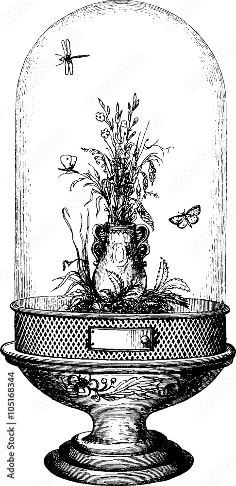 Obraz premium Vintage drawing insect vivarium