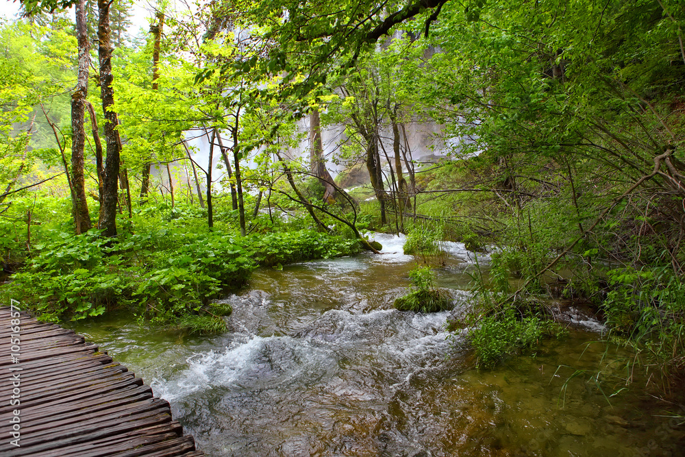 Obraz premium Plitvice Lake