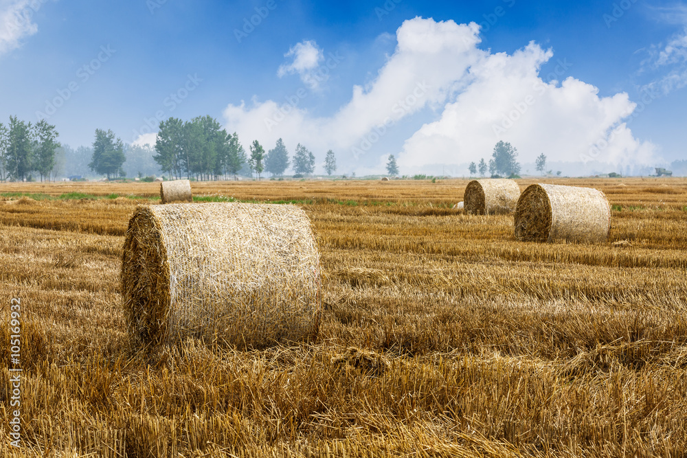 Straw bales Scenery in the country farm