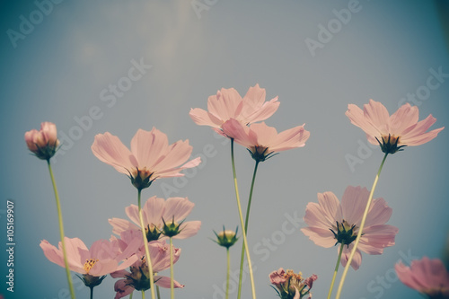 flowers with filter effect retro vintage style